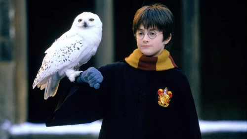 Harry Potter e a Pedra Filosofal faz 20 anos com edição especial