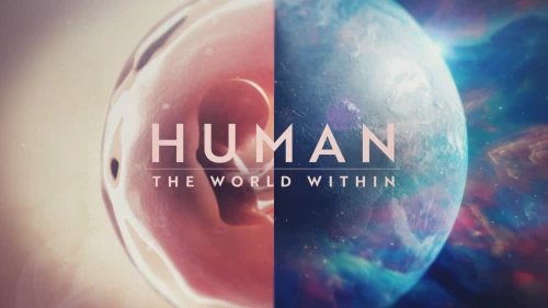 Vamos conhecer o corpo humano? Série para Netflix já tem Trailer