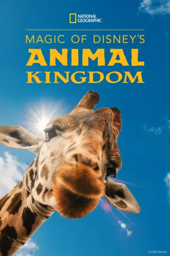 A Magia do Disney's Animal Kingdom