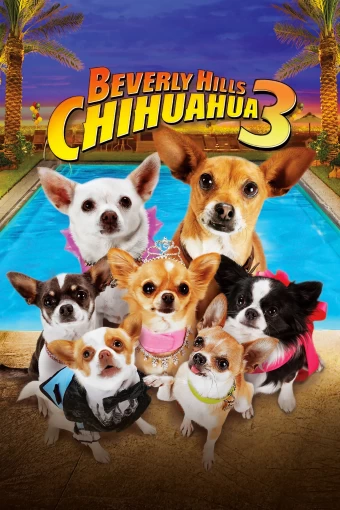 Chihuahua de Beverly Hills 3