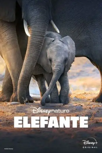 Os Elefantes