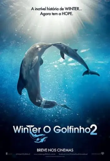 winter-o-golfinho-2