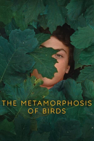 A Metamorfose dos Pássaros
