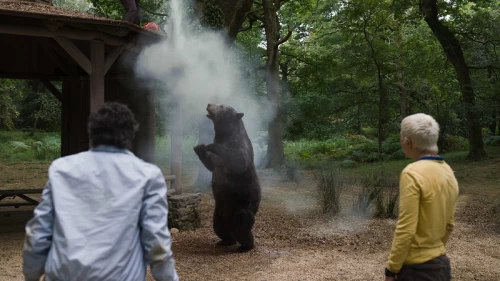 Quando é que O Urso Do Pó Branco vai chegar à Netflix?