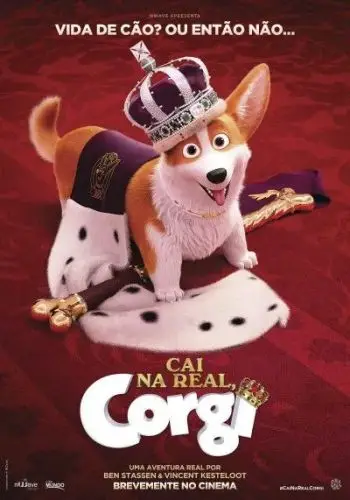 cai-na-real-corgi