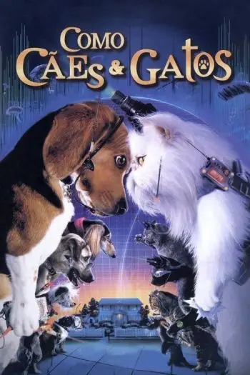 como-caes-e-gatos