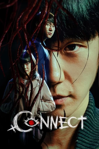 connect