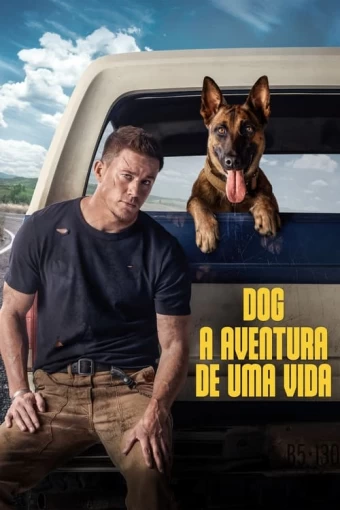 dog-a-aventura-de-uma-vida