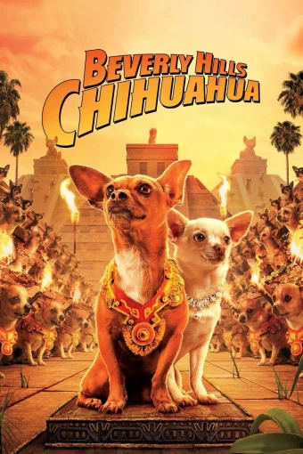 O Chihuahua de Beverly Hills