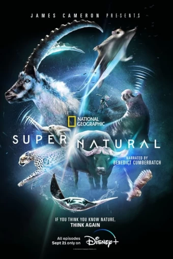 Super/Natural