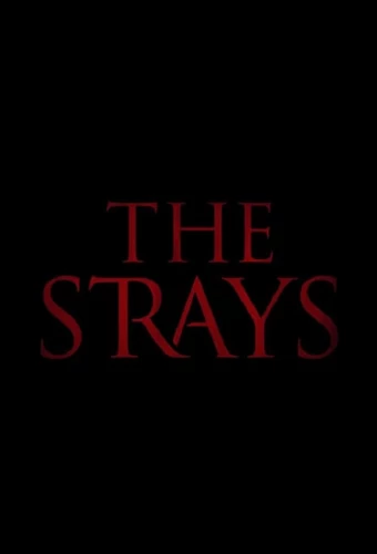 the-strays